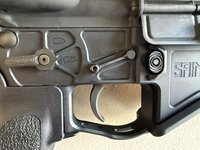 IMG_2795.jpeg