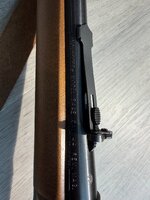 IMG_0918.jpeg