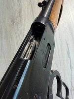 IMG_0920.jpeg