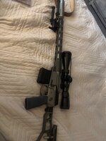 IMG_3795.jpeg IMG_3795.jpeg