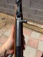 IMG_0676.jpeg IMG_0676.jpeg