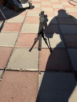 IMG_0731.jpeg IMG_0731.jpeg