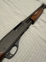 IMG_3430.jpeg IMG_3430.jpeg