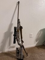 IMG_2076.jpeg