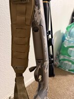 IMG_2075.jpeg