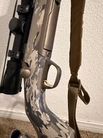 IMG_2077.jpeg