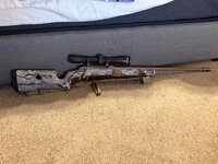 IMG_2070.jpeg