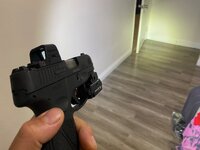 IMG_8341.jpeg IMG_8341.jpeg