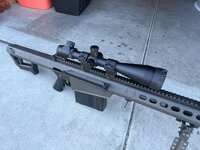 IMG_4784.jpeg