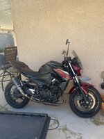 IMG_2160.jpeg