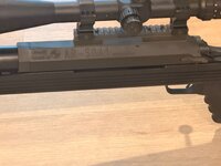 IMG_4950.jpeg