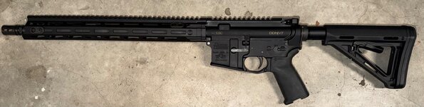 IMG_3377.jpeg