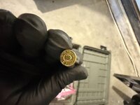 IMG_1237.jpeg