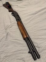 IMG_3428.jpeg