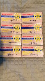 IMG_9493.jpeg