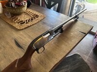 IMG_4189.jpeg