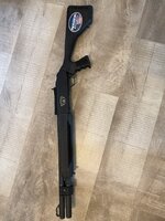 IMG_7349.jpeg IMG_7349.jpeg