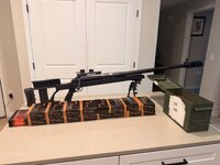 IMG_5337.jpeg
