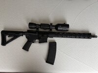IMG_9923.jpeg