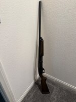 IMG_6795.jpeg IMG_6795.jpeg