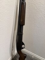 IMG_6796.jpeg IMG_6796.jpeg