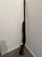 IMG_6797.jpeg IMG_6797.jpeg