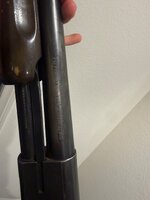 IMG_6798.jpeg IMG_6798.jpeg