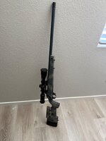 IMG_1981.jpeg