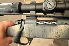 IMG_1985.jpeg