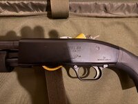 IMG_1936.jpeg