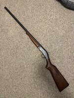 IMG_1175.jpeg