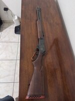 IMG_1742.jpeg