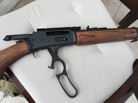 IMG_20260818_145003_320.jpg