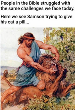 3623.png
