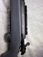 IMG_2639.jpeg