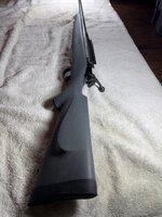 IMG_2640.jpeg