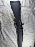IMG_2638.jpeg