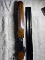 IMG_2649.jpeg