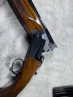 IMG_2647.jpeg