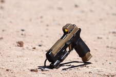 IMG_4130.jpg