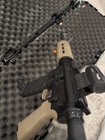 IMG_8915.jpeg