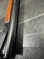 IMG_8315.jpeg