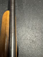 IMG_8321.jpeg