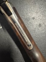 IMG_8329.jpeg