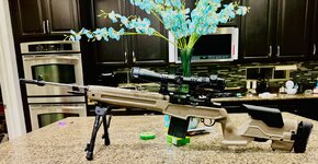 IMG_7433.jpeg