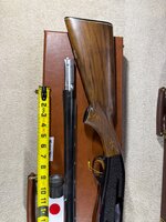 IMG_2697.jpeg