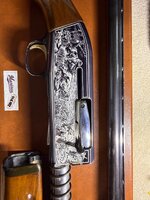 IMG_2709.jpeg