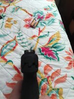 IMG_20260830_195623_957.jpg