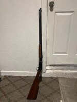 IMG_1339.jpeg IMG_1339.jpeg