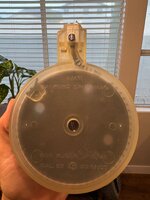 IMG_4631.jpeg